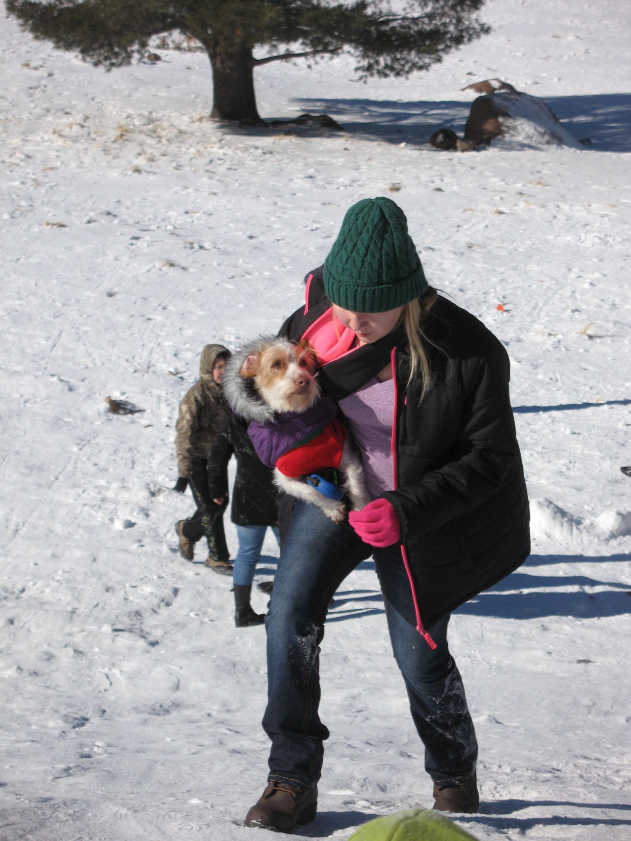 Snowplay and snowdogs